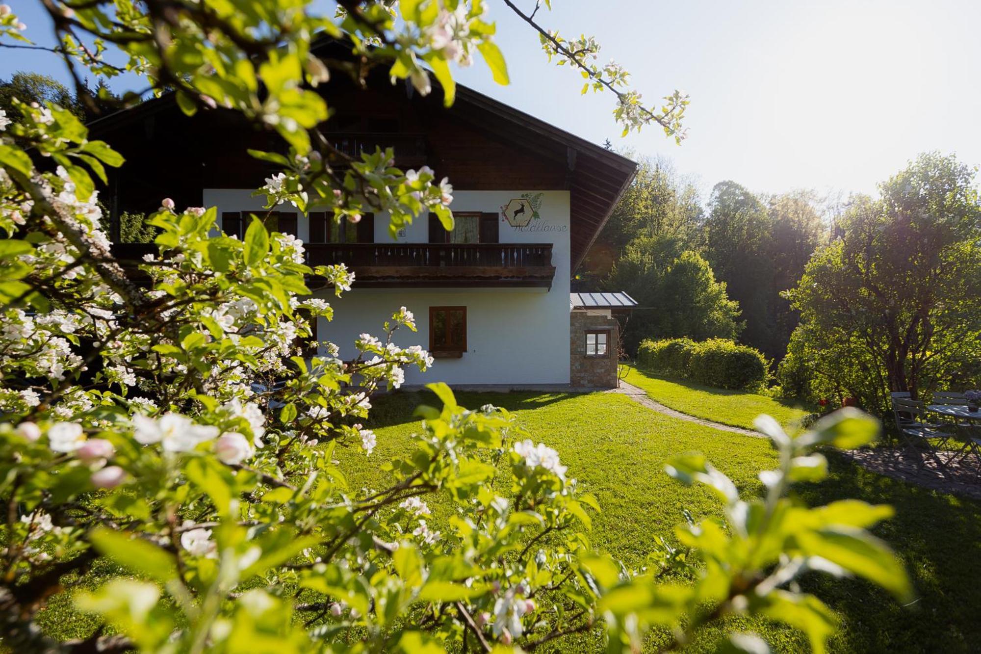 Ferienwohnung Mankei Schoenau am Koenigsee Exterior photo